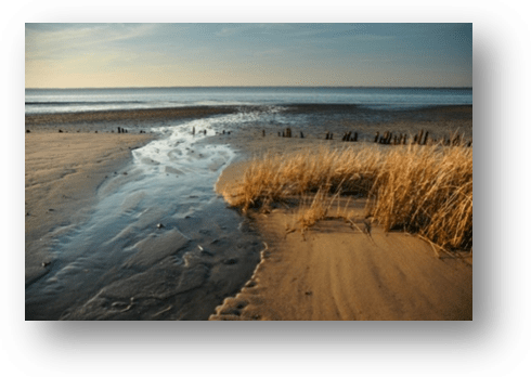 image035-rivages le Teich