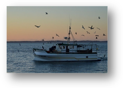 image059-bateau de pêche Arcachon