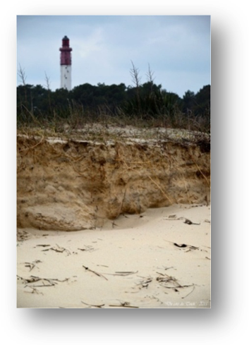 image071-érosion conche Mimbeau face phare Cap-Ferret