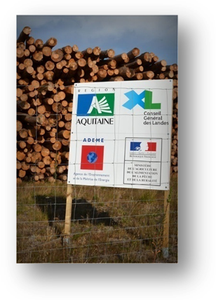 image079-aire stockage bois après tempête Klaus le Teich 2009