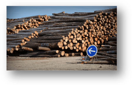 image082-aire stockage bois après tempête Klaus le Teich 2009