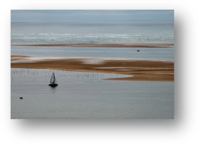 image090-banc d'Arguin vu depuis dune du Pilat