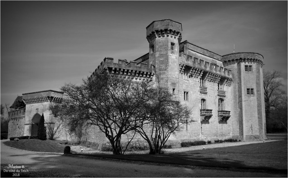 BLOG-DSC_43741-2-château Lamarque N&B