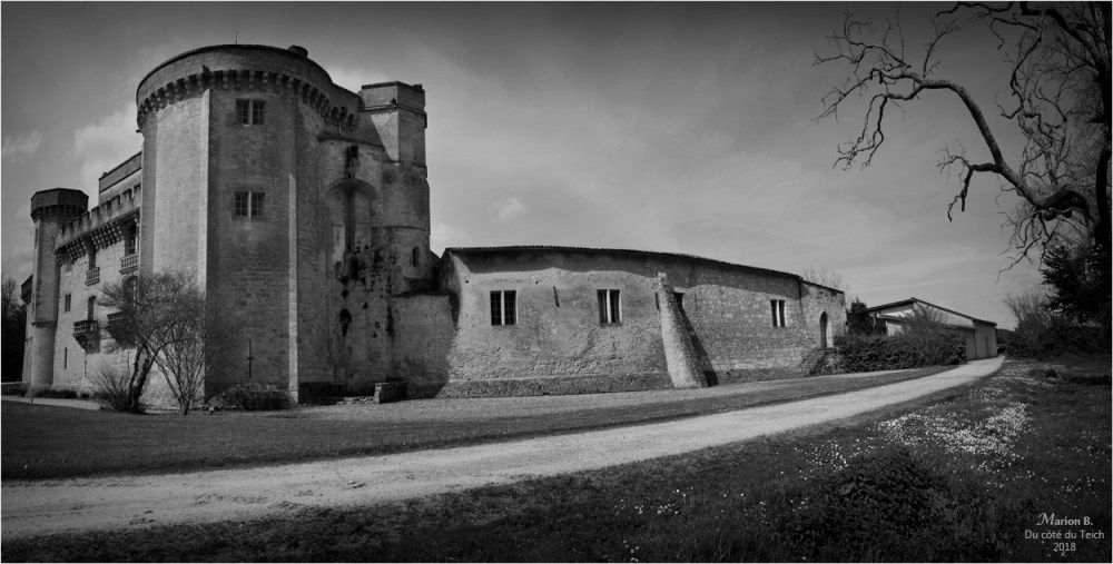 BLOG-DSC_43764-65-château Lamarque N&B