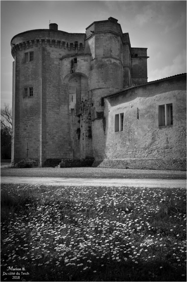 BLOG-DSC_43772-château Lamarque N&B
