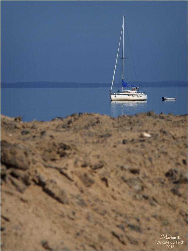 blog-p5201872-voilier-rivages-le-teich.jpg