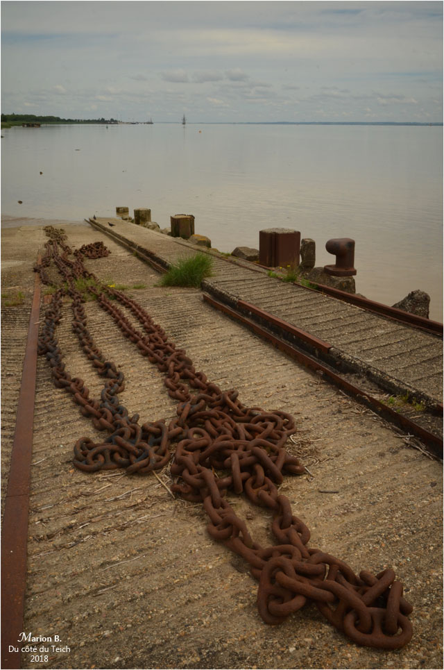blog-dsc_43980-quai-pauillac-et-hermione-au-loin.jpg