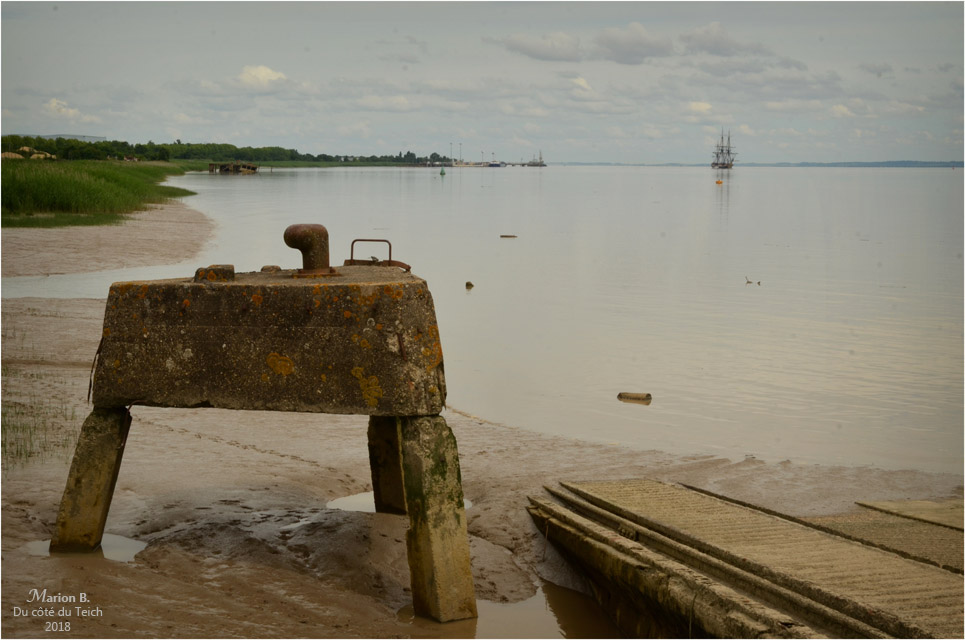 blog-dsc_43984-2-quai-pauillac-et-hermione-au-loin.jpg