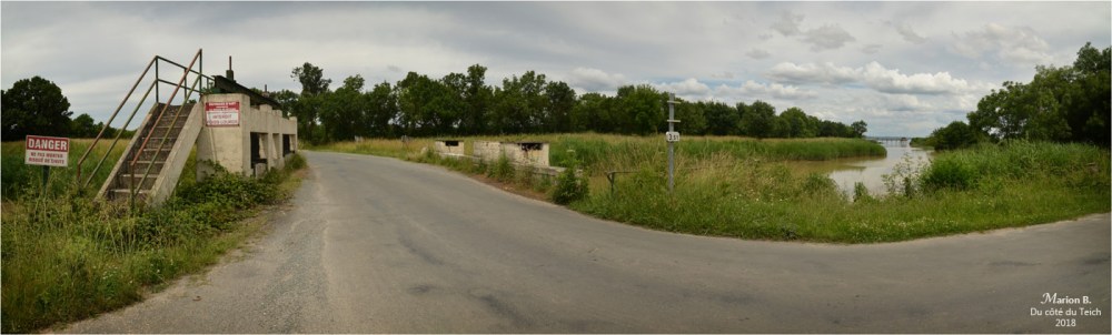 BLOG-DSC_44002-04-pont estey d'un AS marais de Reysson