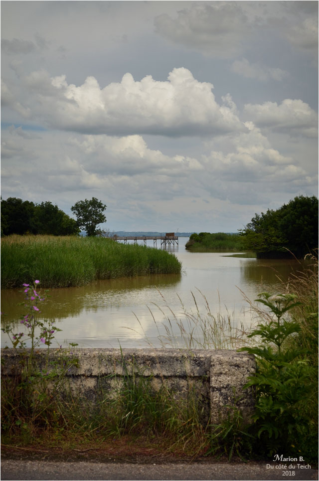 BLOG-DSC_44007-pont porte à flots estey d'un AS marais de Reysson
