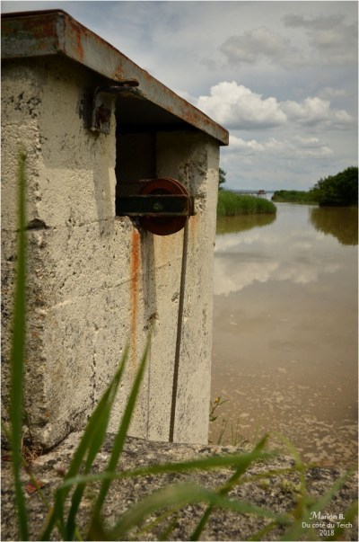 BLOG-DSC_44013-pont porte à flots estey d'un AS marais de Reysson
