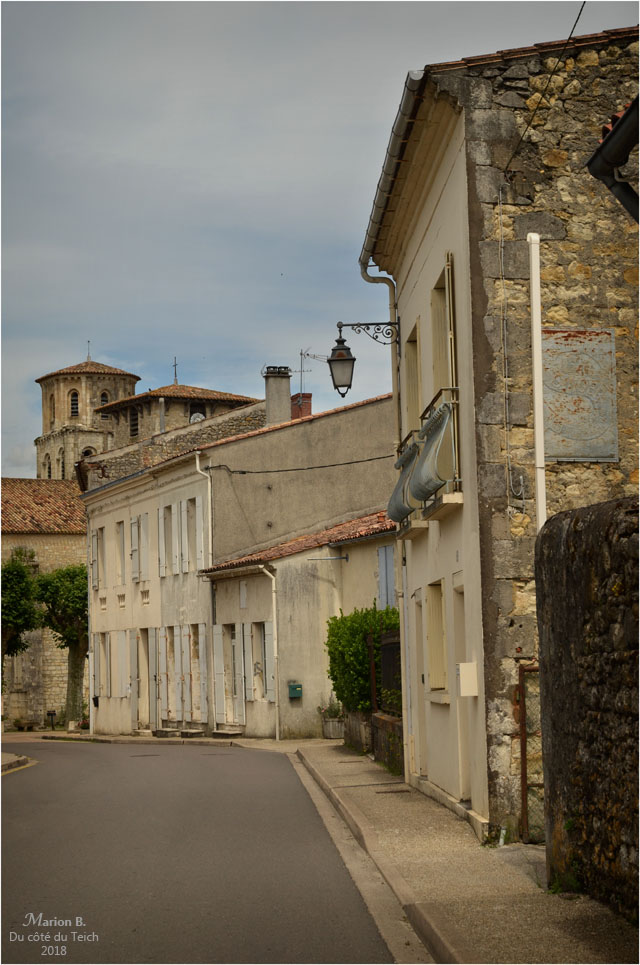 BLOG-DSC_44037-Vertheuil