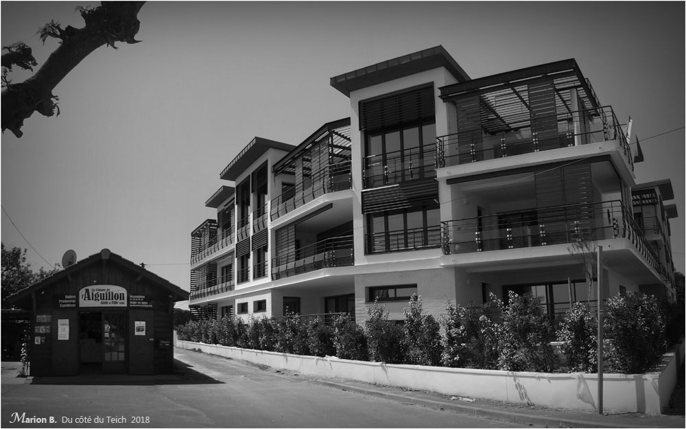 BLOG-P5041645-46-cabane et nouveaux immeubles Aiguillon 2018 N&amp;B2