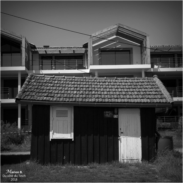 BLOG-P5041687-constructions Aiguillon Lapin Blanc 2018 N&B