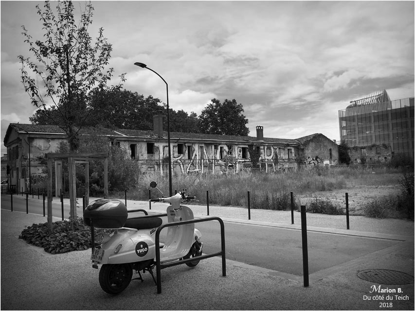 BLOG-P6122154-scoot Yugo Bordeaux N&B