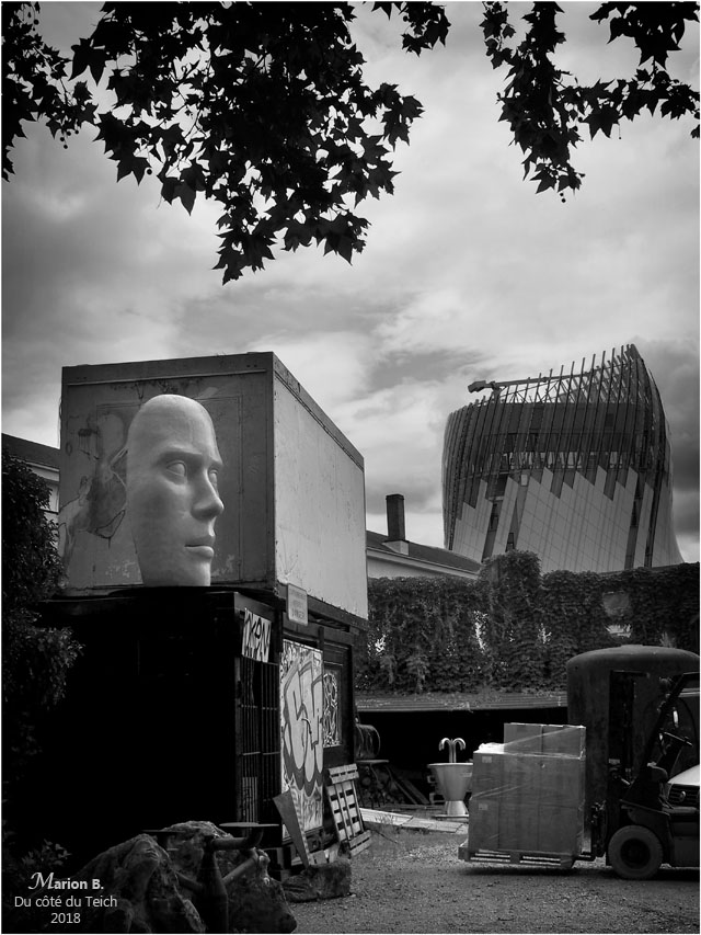 BLOG-P6122160-les vivres de l'artet cité du vin N&B