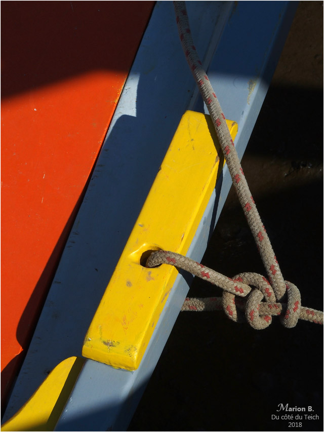 BLOG-P6192404-Teychine amarrée