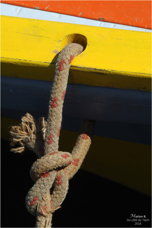 BLOG-P6192407-Teychine amarrée