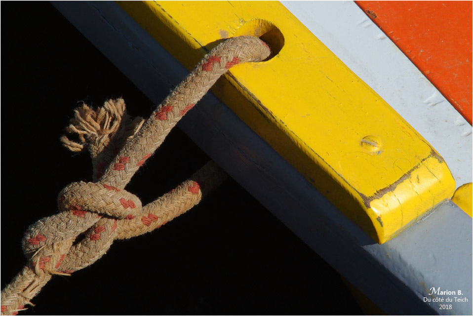 BLOG-P6192410-Teychine amarrée