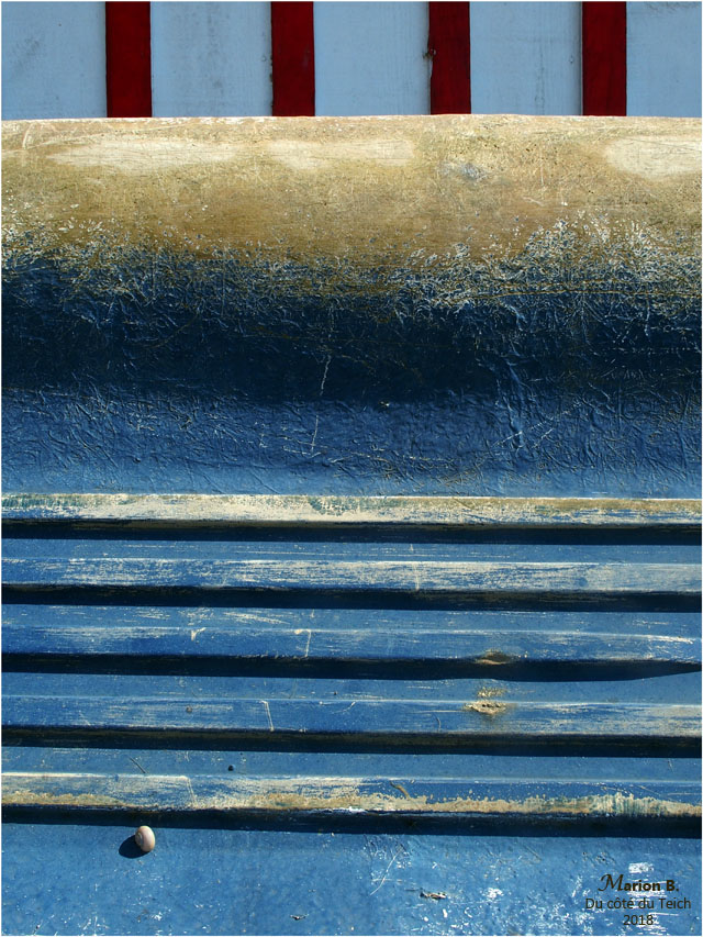 BLOG-P6282466-escargot marin.jpg