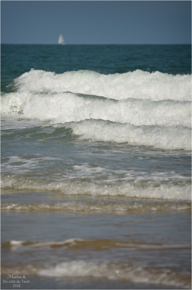 BLOG-DSC_44372-vagues et voilier Soulac