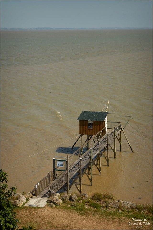 BLOG-DSC_44447-carrelet phare de Richard
