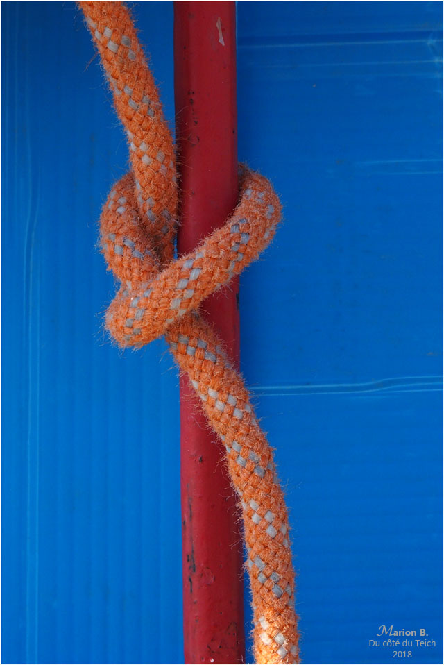 BLOG-P3211313-cabane port Audenge