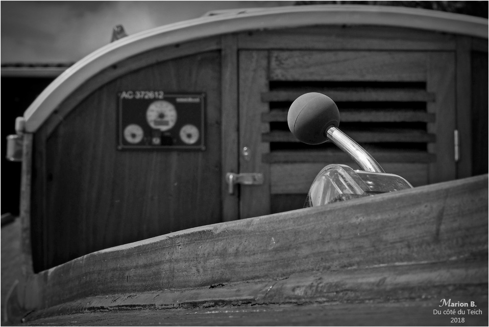 BLOG-P7022483-pinasse N&B