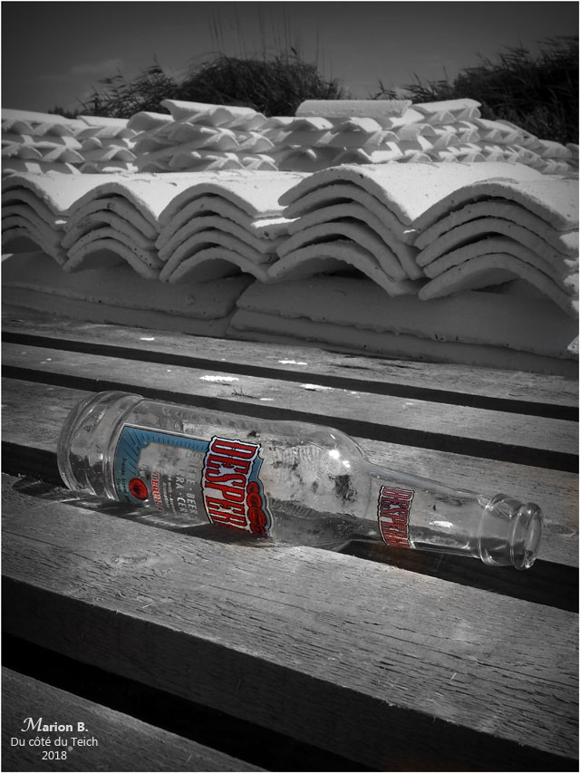 BLOG-P7032517-desperato et tuiles chaulées N&C BLOG-P7032517-desperato et tuiles chaulées N&C