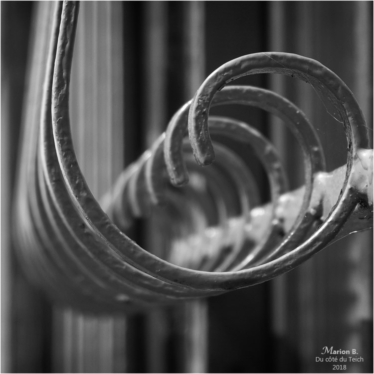 BLOG-P7052540-fer forgé N&B