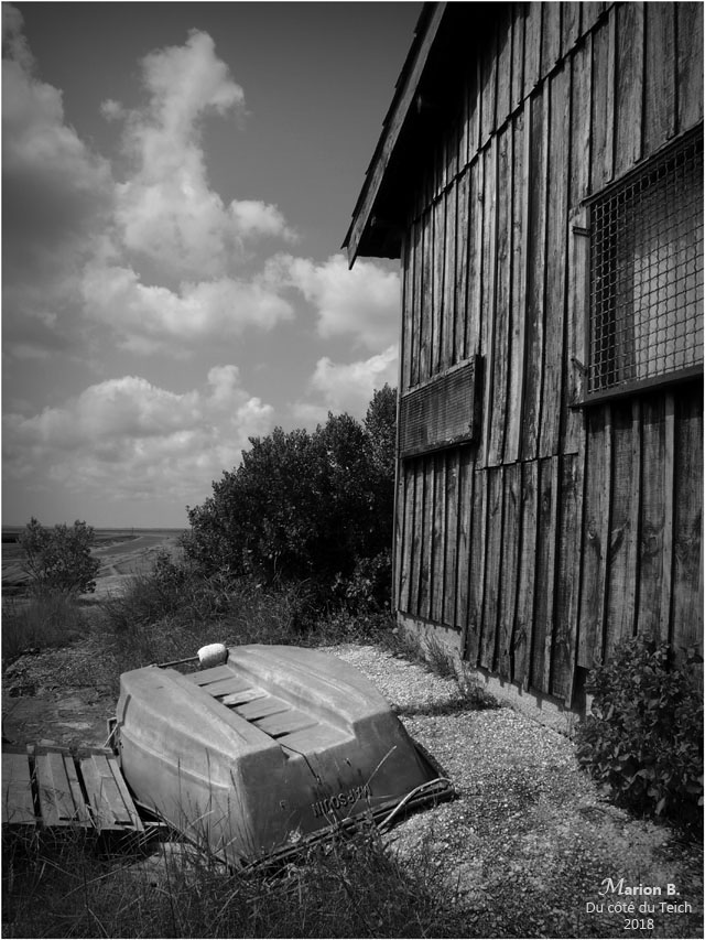 BLOG-P7052556-port du Canal N&B