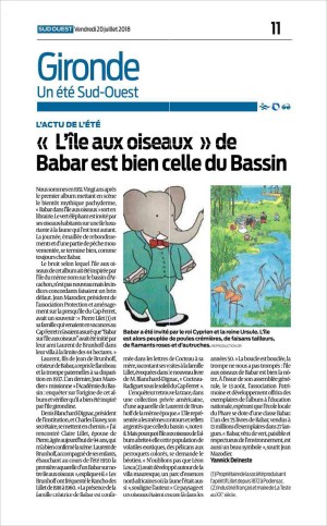 L'île aux oiseaux de Babar est bien celle du Bassin- SO 19 Juillet 2018