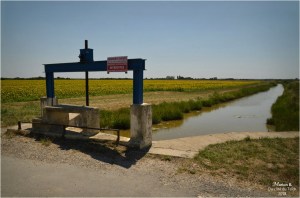 BLOG-DSC_44405-chenal de Neyran