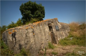 BLOG-DSC_44428-blockhaus front du Médoc 18 19 Avril 1945 Neyran