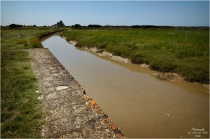 BLOG-DSC_44432-port Neyran Médoc