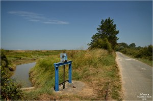 BLOG-DSC_44440-route chenal et port Neyran Médoc