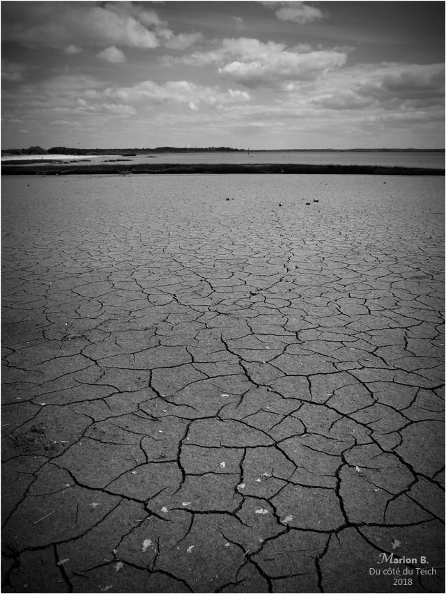 BLOG-P4261529-2-sol craquelé autour tonne de chasse