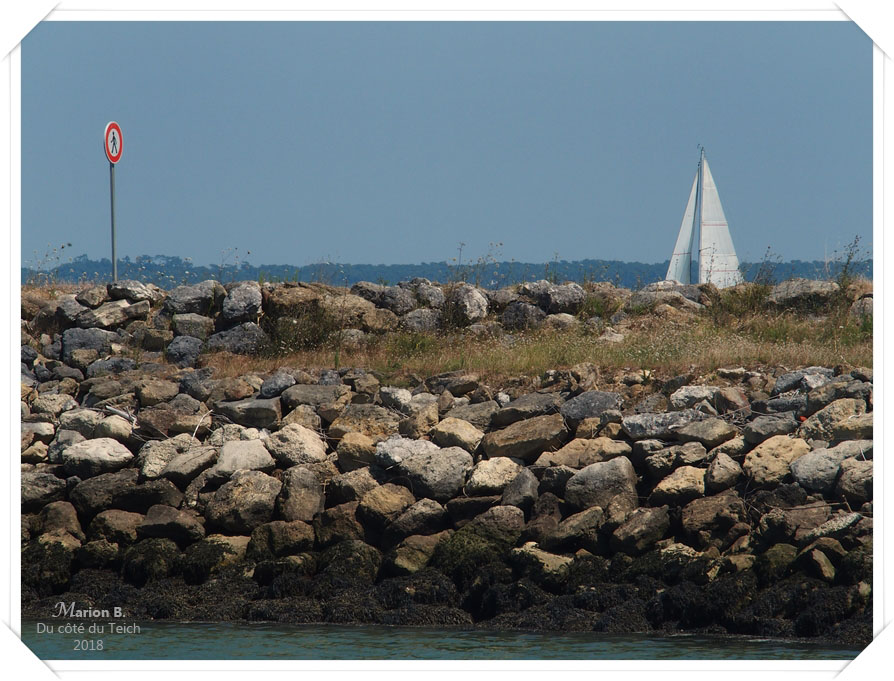 blog-p7253059-port-medoc.jpg