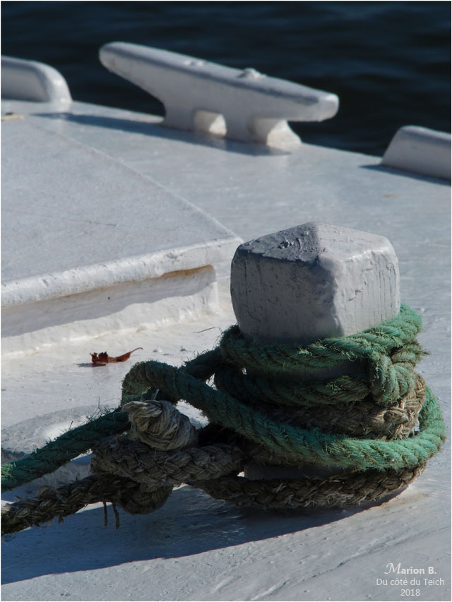 BLOG-P8113254-pinasse Choupette