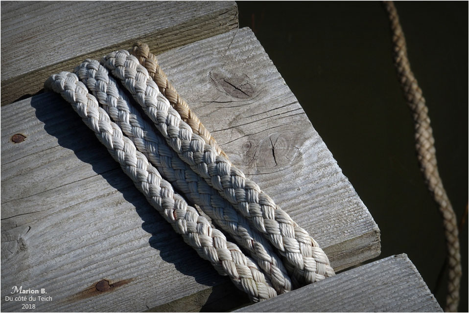 BLOG-P8113255-2-amarres ponton port des Tuiles BLOG-P8113255-2-amarres ponton port des Tuiles