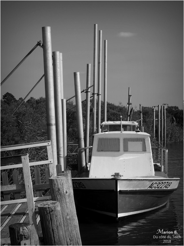 BLOG-P8113258-Leyre port des Tuiles Biganos N&B