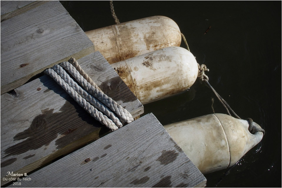 BLOG-P8113263-ponton port des Tuiles