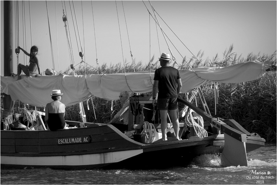 BLOG-P8113268-escalumade retour régate Biganos N&B