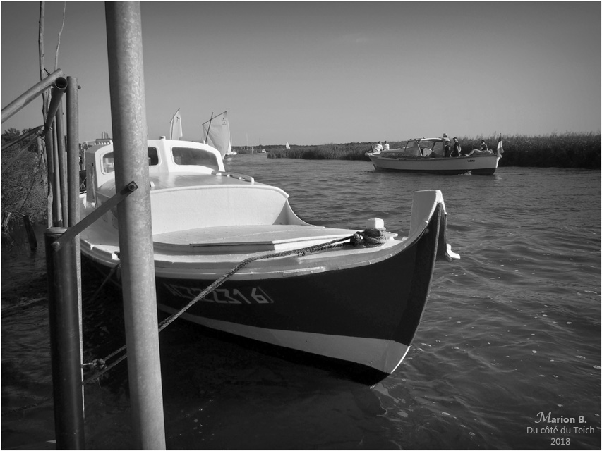 BLOG-P8113313-pinasses Choupette et Vamp et retour régate Biganos N&B2