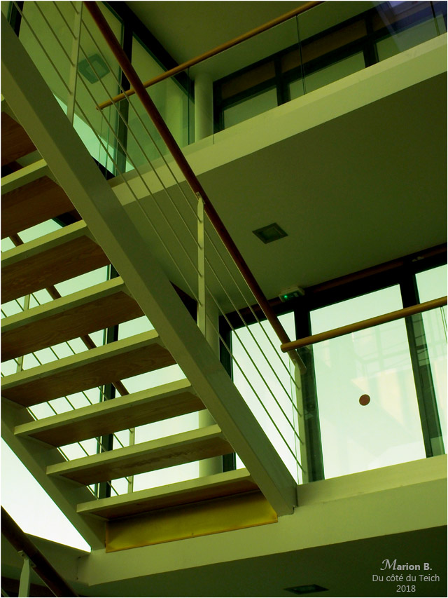 BLOG-P8313426-cage escalier vitrages vertes