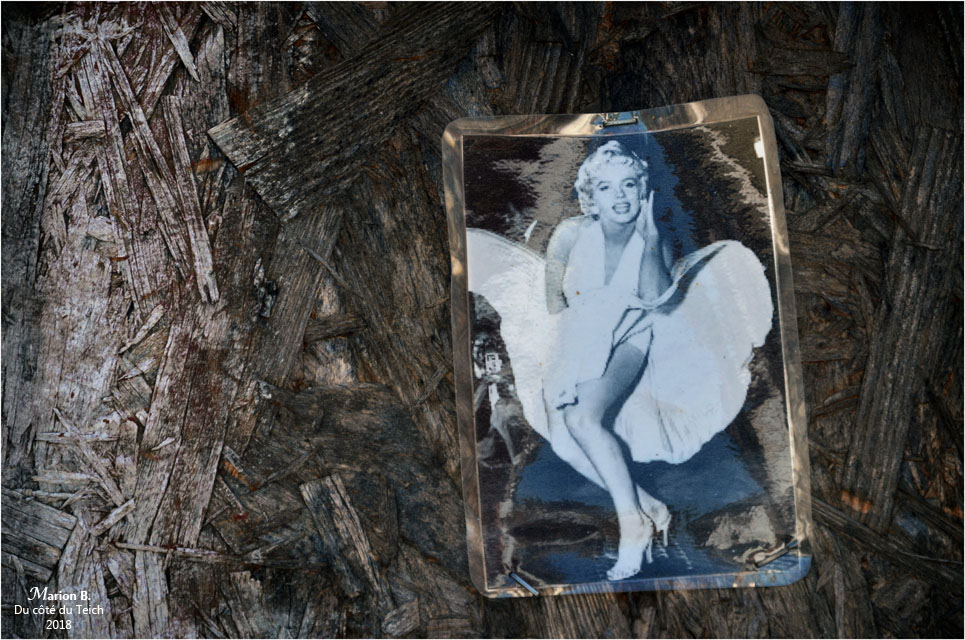 BLOG-DSC_44903-7 ans de réflexion BLOG-DSC_44903-7 ans de réflexion