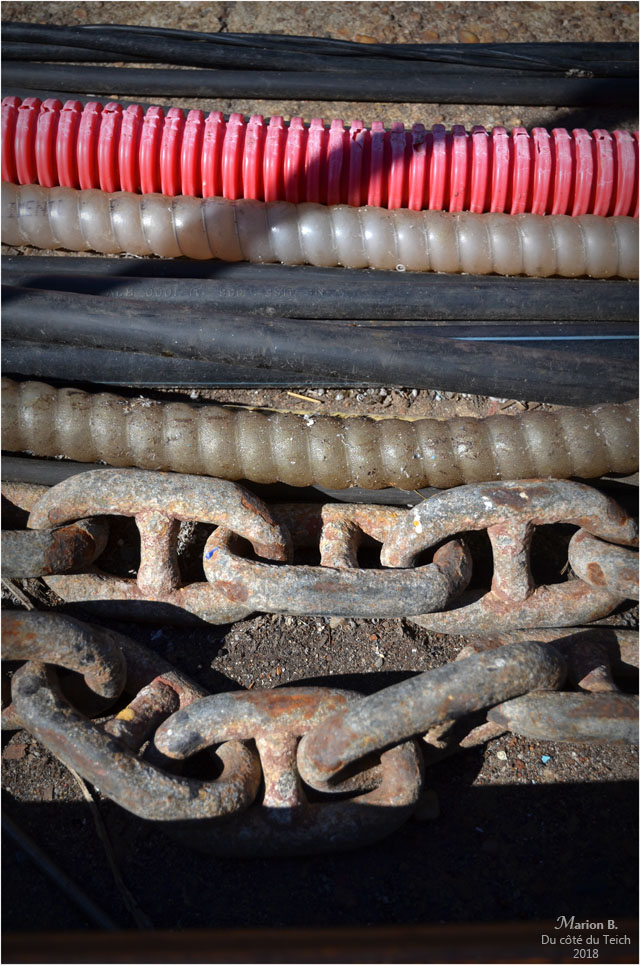 BLOG-DSC_44909-quai bassin à flot Bordeaux Bacalan