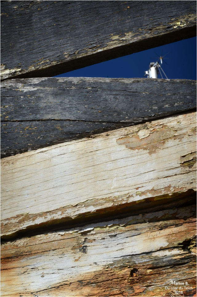 BLOG-DSC_44943-coque bassins à flot Bordeaux BLOG-DSC_44943-coque bassins à flot Bordeaux