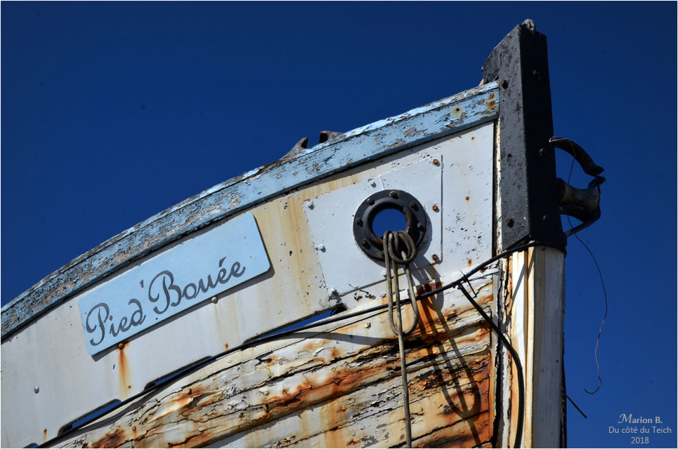 BLOG-DSC_44956-pied'bouée bassins à flot BLOG-DSC_44956-pied'bouée bassins à flot