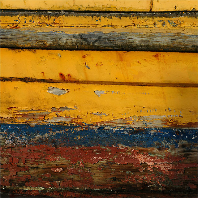 AVATAR DSC_2591-2-coque jaune